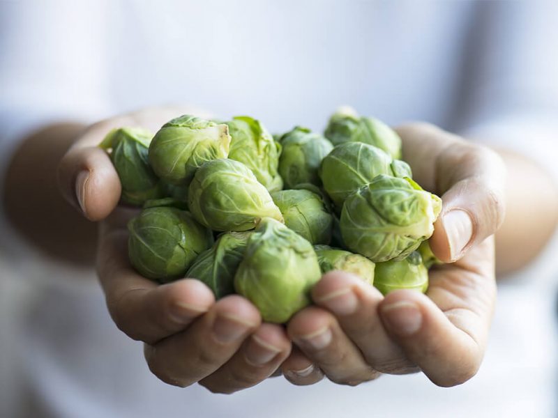 brussels sprouts for weight loss