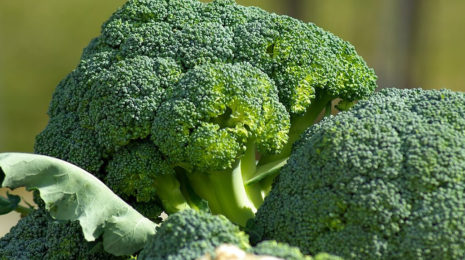 How-to-grow-broccoli
