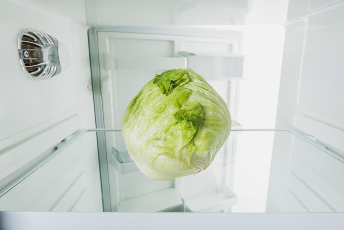 Cabbage in the fridge